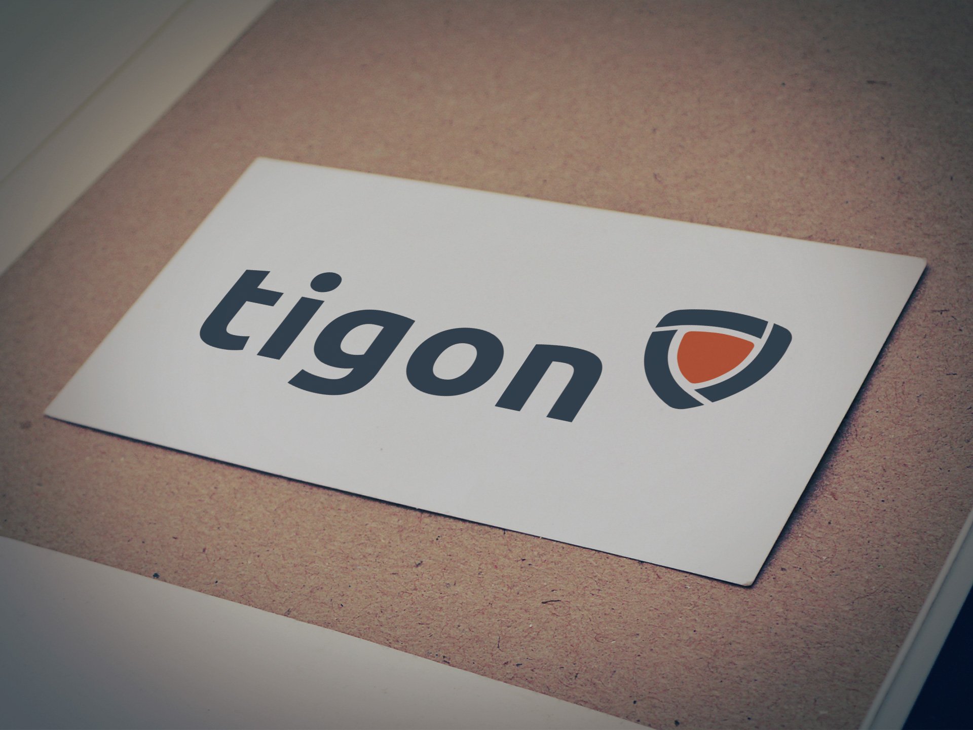 Tigon Logo - Designed by Casper Creative