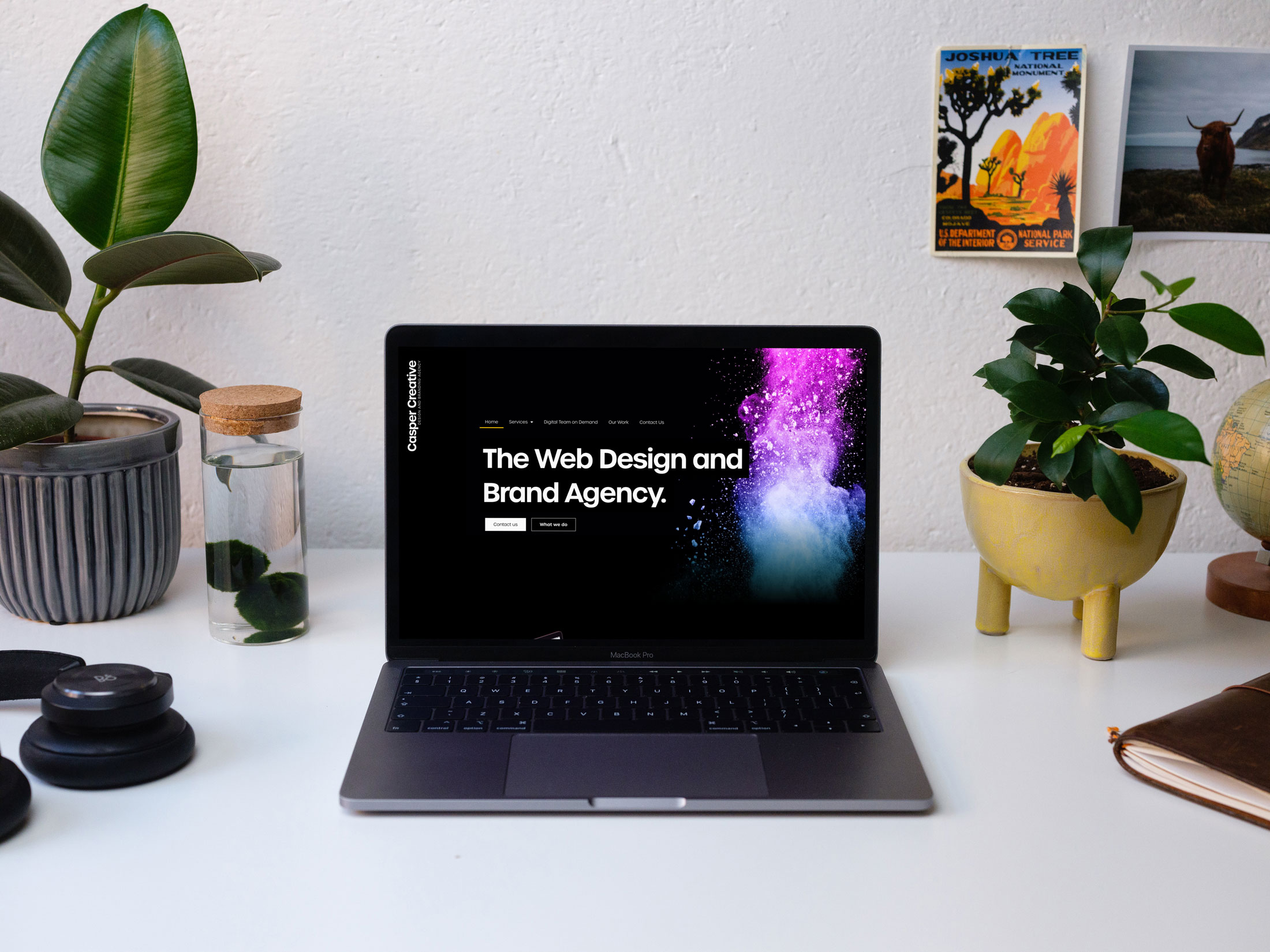 The options when setting up a website for your business
